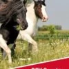 DSV-Country Horse Balance 2120 1 DSV-Country Horse Balance 2120 -Garten- Und Outdoor-Geschäfte dsv country horse balance 1