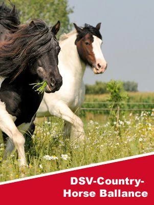 DSV-Country Horse Balance 2120 3 DSV-Country Horse Balance 2120
