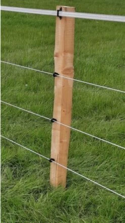 Elektroseil -Garten- Und Outdoor-Geschäfte elektroseil 2