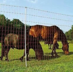 EURO Netz Elektrozaun "Mustang" -Garten- Und Outdoor-Geschäfte euro netz elektrozaun