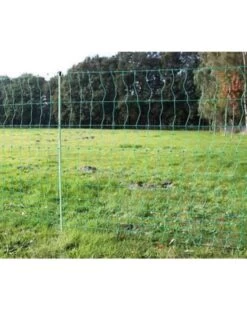 Euro-Netz Geflügel 112 / 2 Grün -Garten- Und Outdoor-Geschäfte euro netz gefluegel 112 2 gruen 7