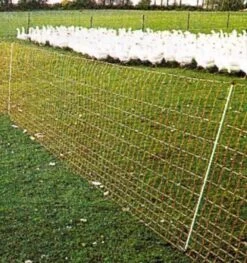 Euro-Netz Geflügel 112 / 2 Jumbo -Garten- Und Outdoor-Geschäfte euro netz gefluegel 112 2 jumbo 2