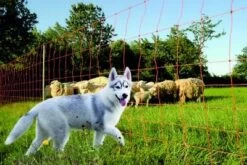 Euro-Netz "Wolf" 120 / 2, 145 / 2 Jumbo -Garten- Und Outdoor-Geschäfte euro netz wolfabwehr 120 2 jumbo 2