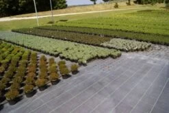 Florinotex Bodengewebe -Garten- Und Outdoor-Geschäfte florinotex bodengewebe 6