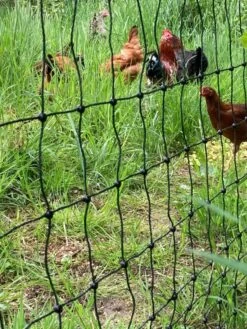 Garten- Und Outdoor-Geschäfte -Garten- Und Outdoor-Geschäfte gefluegelnetz 7