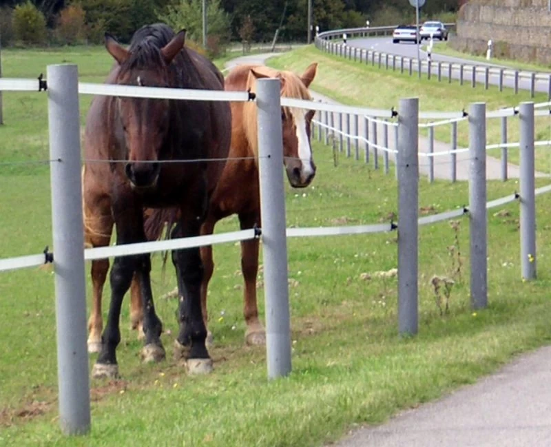 Kunststoff-Recyclingpfahl Rund 4 Kunststoff-Recyclingpfahl Rund – Bild 2
