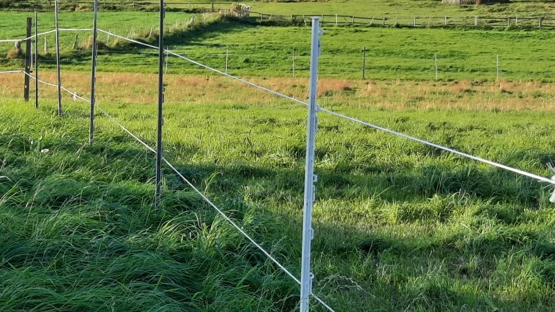 Kunststoff-Zaunpfahl Doppeltritt, Weiß 7 Kunststoff-Zaunpfahl Doppeltritt, Weiß – Bild 5