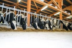 LED Feuchtraumleuchte Farm Line -Garten- Und Outdoor-Geschäfte led feuchtraumleuchte farm star 4