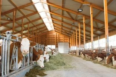 LED-Hallenstrahler 4 LED-Hallenstrahler – Bild 2