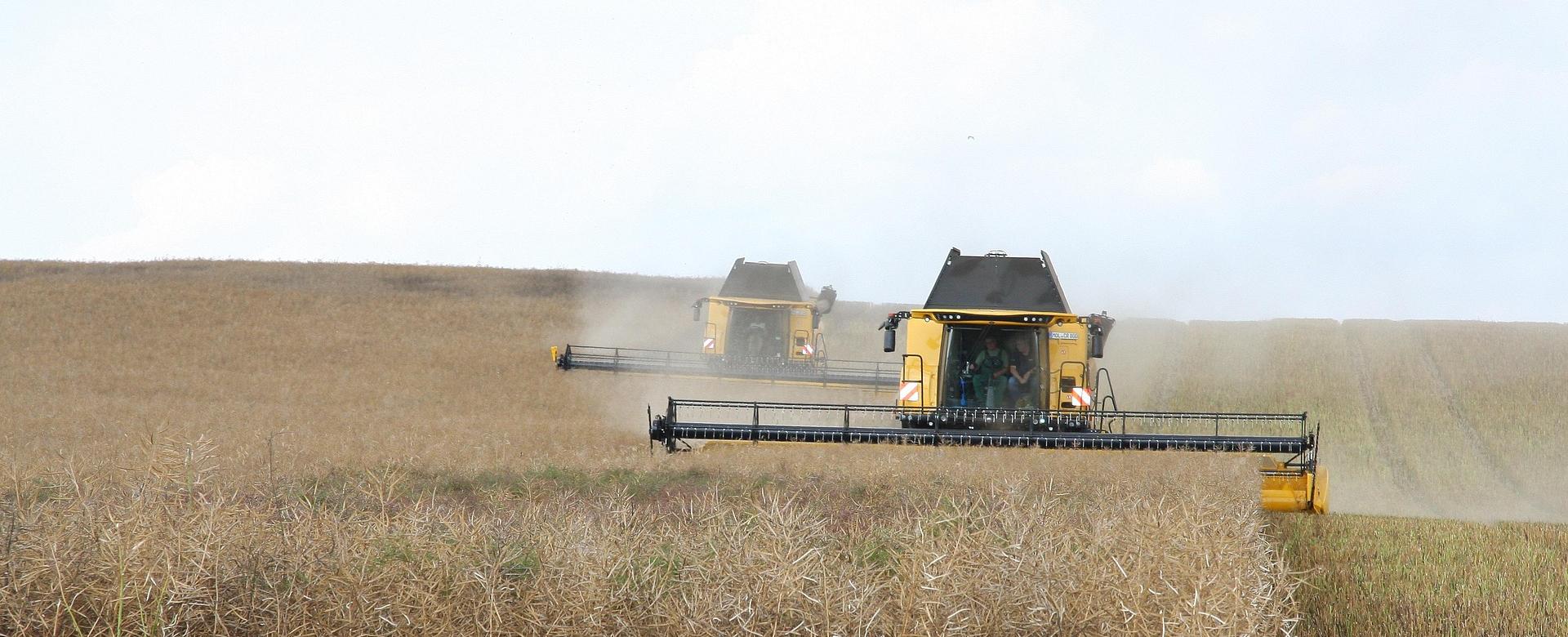 Garten- Und Outdoor-Geschäfte -Garten- Und Outdoor-Geschäfte mower 7956264 1920