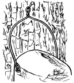 Nisthöhle 1B 32mm -Garten- Und Outdoor-Geschäfte nisthoehle 1b 32mm 1