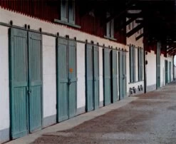 Schiebetorrolle Mit Bügel 16 Schiebetorrolle Mit Bügel -Garten- Und Outdoor-Geschäfte schiebetorrollen mit buegel 5