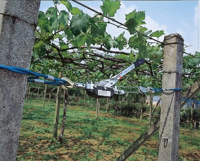 Seilzugspanngerät 6 Seilzugspanngerät – Bild 4