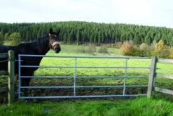 Verstellbare Stahl-Weidezauntore -Garten- Und Outdoor-Geschäfte weidetore in verstellbarer laenge 6