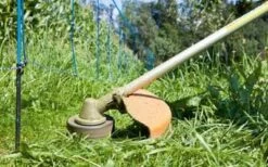 Wildabwehr-Netz -Garten- Und Outdoor-Geschäfte wildabwehr netz 2